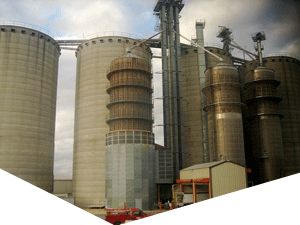 轰炸短信信息软件免费版